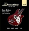 Duesenberg Bass Strings 40-100, stainless