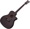 Schecter Deluxe Acoustic Satin See Thru Black