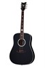 RS-1000 Stage Acoustic Gloss Black