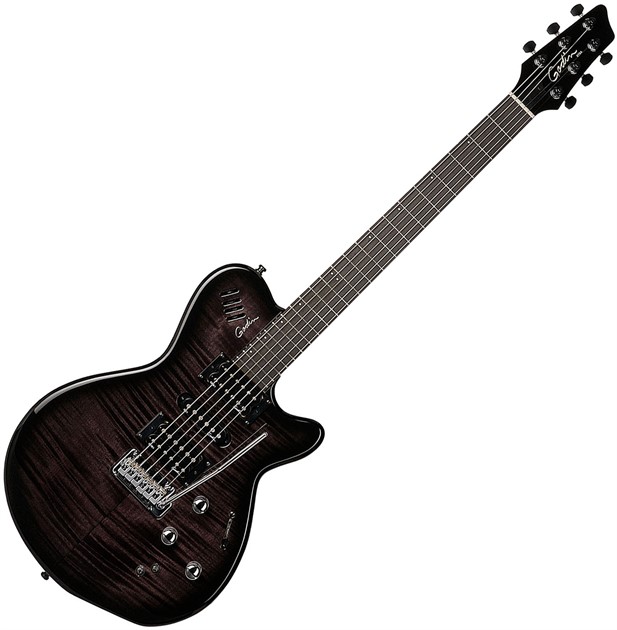 Godin xtSA Leaftop Trans Black