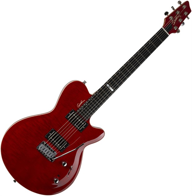 Godin Signature DS-1