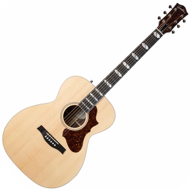 Godin Fairmount CH LTD Rosewood HG EQ