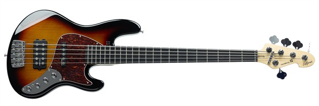 TM5 GL High Gloss 3-tone EB Tort