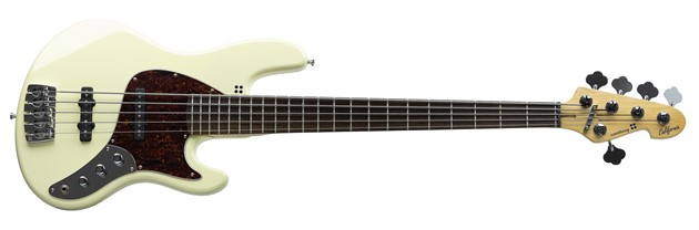 TT5 Passive Cream HG RW Tort PG